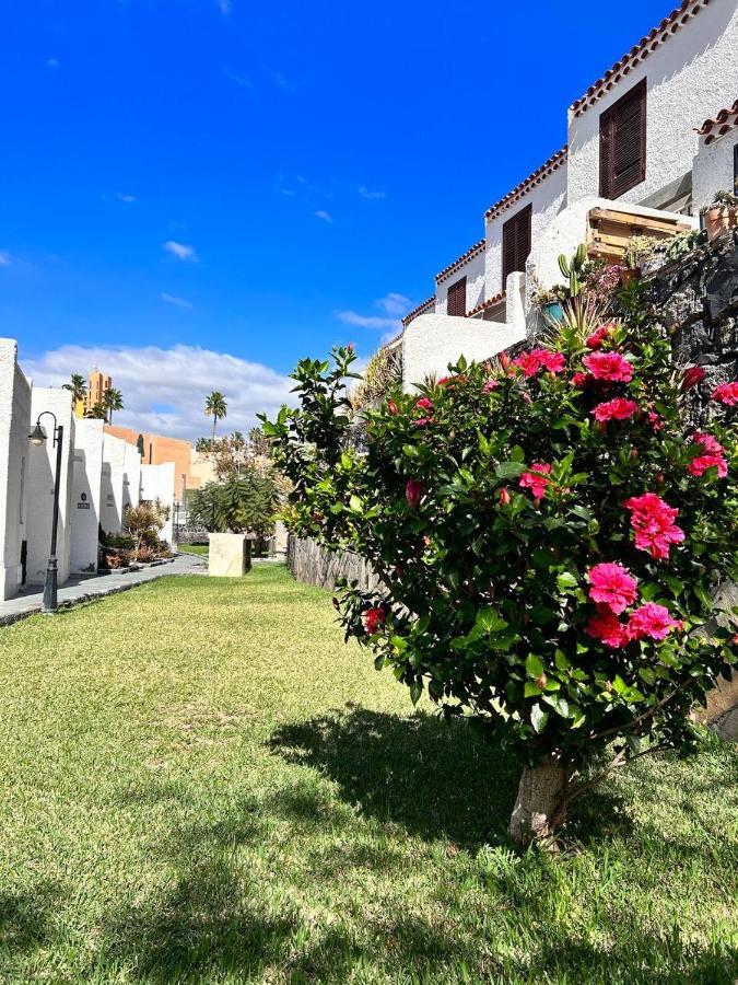 Apartment Virginia Playa de las Américas Dış mekan fotoğraf