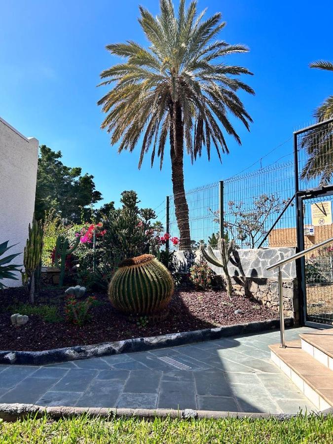 Apartment Virginia Playa de las Américas Dış mekan fotoğraf