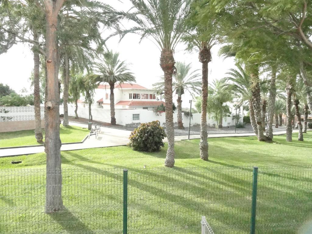 Apartment Virginia Playa de las Américas Dış mekan fotoğraf