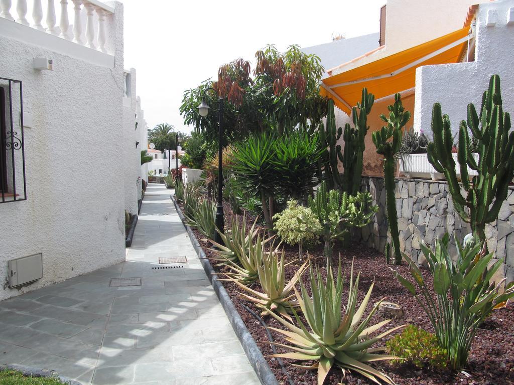 Apartment Virginia Playa de las Américas Oda fotoğraf